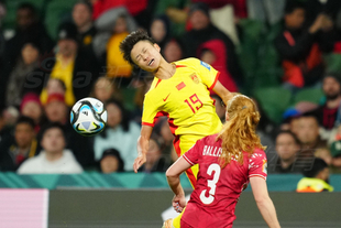 瑞士名帅法夫尔宣布退休，曾执教门兴、多特等球队（瑞士名帅法夫尔正式告别教坛，曾执掌门兴、多特等队）